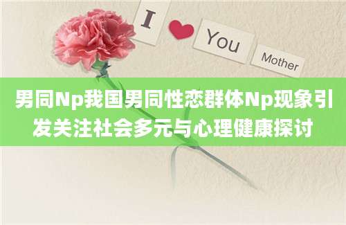 男同Np我国男同性恋群体Np现象引发关注社会多元与心理健康探讨