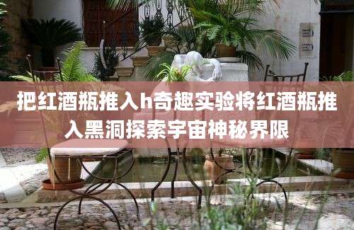 把红酒瓶推入h奇趣实验将红酒瓶推入黑洞探索宇宙神秘界限