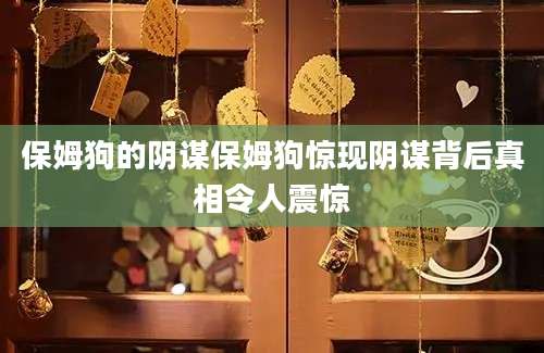 保姆狗的阴谋保姆狗惊现阴谋背后真相令人震惊