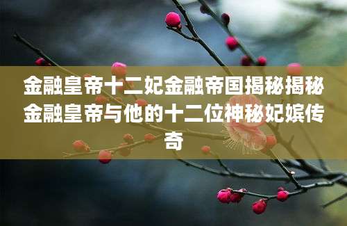 金融皇帝十二妃金融帝国揭秘揭秘金融皇帝与他的十二位神秘妃嫔传奇