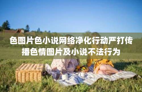 色图片色小说网络净化行动严打传播色情图片及小说不法行为