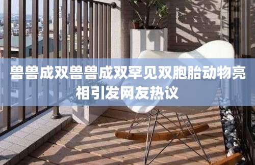 兽兽成双兽兽成双罕见双胞胎动物亮相引发网友热议
