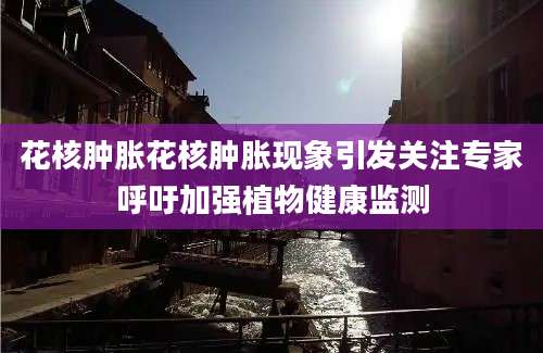 花核肿胀花核肿胀现象引发关注专家呼吁加强植物健康监测