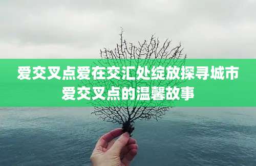 爱交叉点爱在交汇处绽放探寻城市爱交叉点的温馨故事