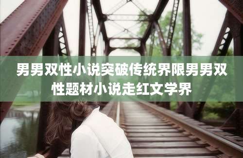 男男双性小说突破传统界限男男双性题材小说走红文学界