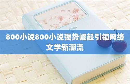 800小说800小说强势崛起引领网络文学新潮流