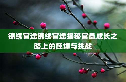 锦绣官途锦绣官途揭秘官员成长之路上的辉煌与挑战