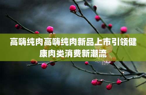高嗨纯肉高嗨纯肉新品上市引领健康肉类消费新潮流