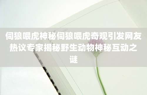 伺狼喂虎神秘伺狼喂虎奇观引发网友热议专家揭秘野生动物神秘互动之谜
