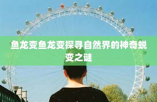 鱼龙变鱼龙变探寻自然界的神奇蜕变之谜