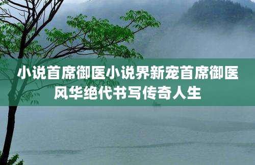 小说首席御医小说界新宠首席御医风华绝代书写传奇人生