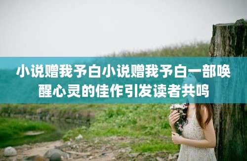 小说赠我予白小说赠我予白一部唤醒心灵的佳作引发读者共鸣
