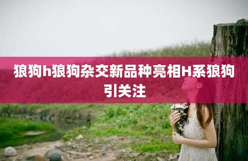 狼狗h狼狗杂交新品种亮相H系狼狗引关注