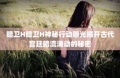暗卫H暗卫H神秘行动曝光揭开古代宫廷暗流涌动的秘密