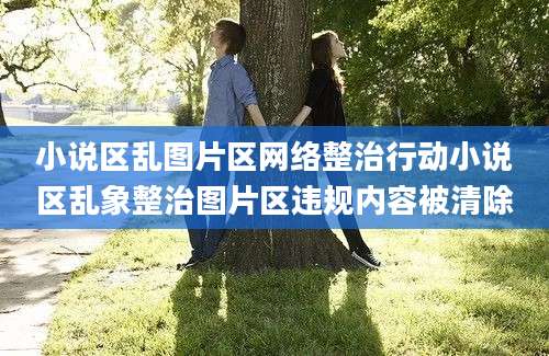 小说区乱图片区网络整治行动小说区乱象整治图片区违规内容被清除