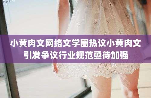 小黄肉文网络文学圈热议小黄肉文引发争议行业规范亟待加强