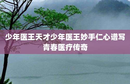 少年医王天才少年医王妙手仁心谱写青春医疗传奇