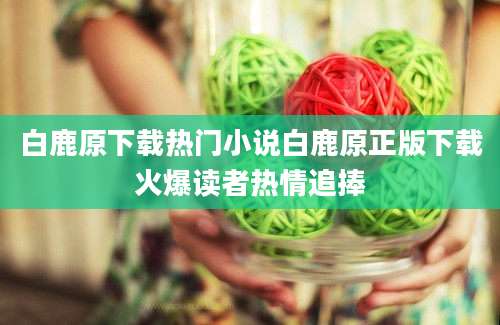 白鹿原下载热门小说白鹿原正版下载火爆读者热情追捧