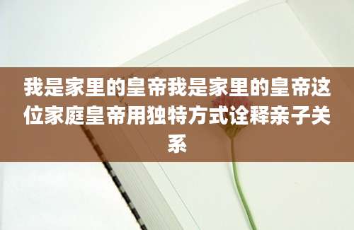 我是家里的皇帝我是家里的皇帝这位家庭皇帝用独特方式诠释亲子关系