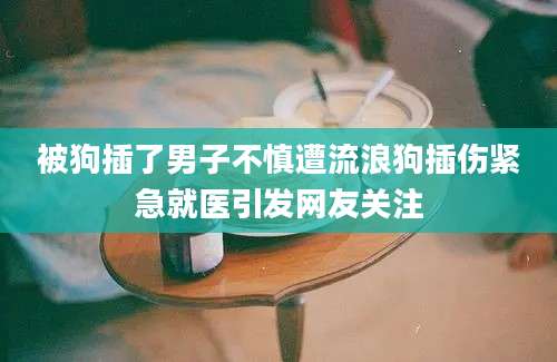 被狗插了男子不慎遭流浪狗插伤紧急就医引发网友关注