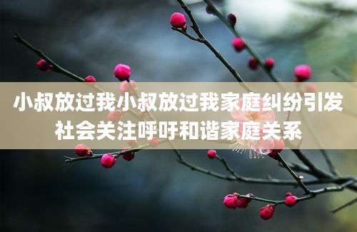 小叔放过我小叔放过我家庭纠纷引发社会关注呼吁和谐家庭关系