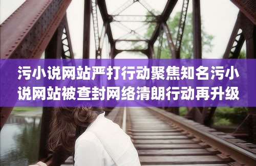 污小说网站严打行动聚焦知名污小说网站被查封网络清朗行动再升级