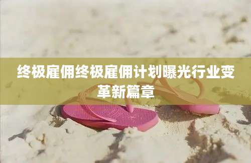 终极雇佣终极雇佣计划曝光行业变革新篇章