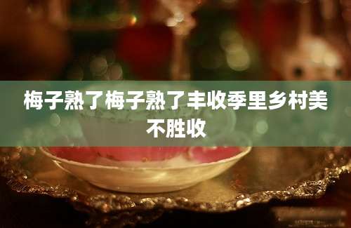 梅子熟了梅子熟了丰收季里乡村美不胜收