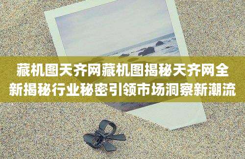 藏机图天齐网藏机图揭秘天齐网全新揭秘行业秘密引领市场洞察新潮流