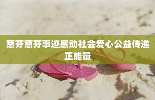 慈芬慈芬事迹感动社会爱心公益传递正能量