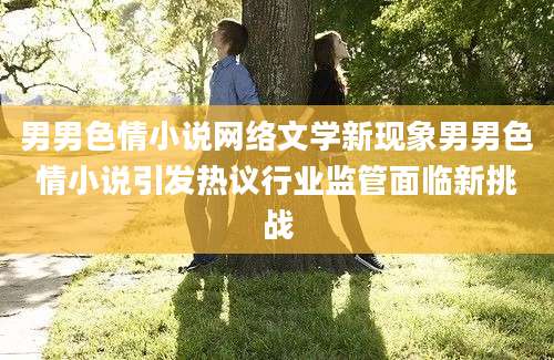 男男色情小说网络文学新现象男男色情小说引发热议行业监管面临新挑战