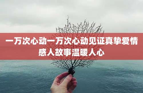 一万次心动一万次心动见证真挚爱情感人故事温暖人心