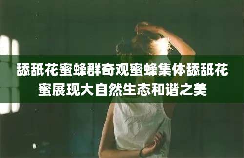 舔舐花蜜蜂群奇观蜜蜂集体舔舐花蜜展现大自然生态和谐之美