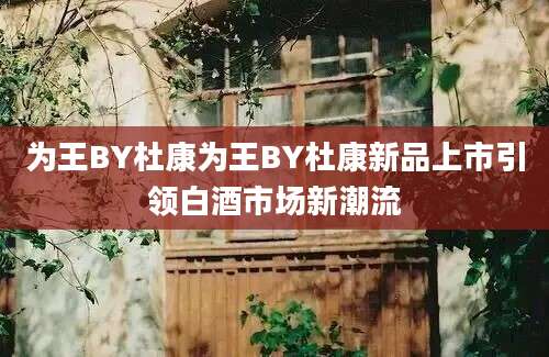 为王BY杜康为王BY杜康新品上市引领白酒市场新潮流