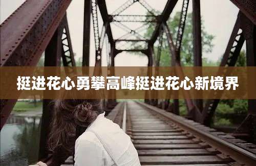 挺进花心勇攀高峰挺进花心新境界