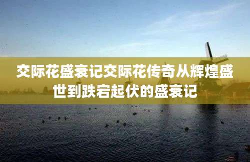 交际花盛衰记交际花传奇从辉煌盛世到跌宕起伏的盛衰记