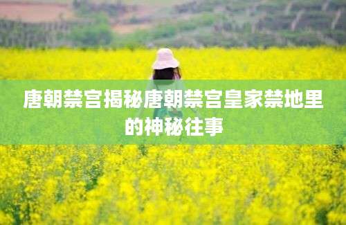 唐朝禁宫揭秘唐朝禁宫皇家禁地里的神秘往事