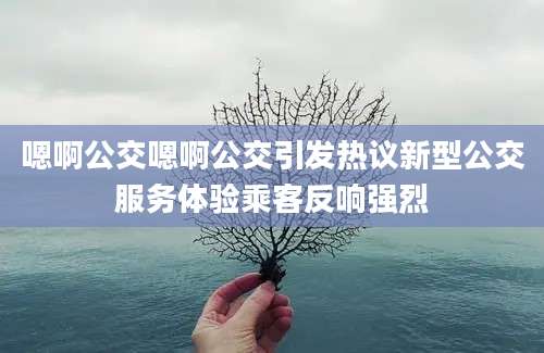 嗯啊公交嗯啊公交引发热议新型公交服务体验乘客反响强烈