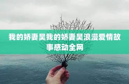 我的娇妻昊我的娇妻昊浪漫爱情故事感动全网