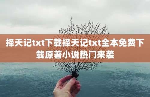 择天记txt下载择天记txt全本免费下载原著小说热门来袭
