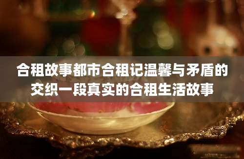 合租故事都市合租记温馨与矛盾的交织一段真实的合租生活故事
