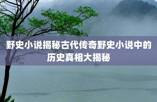 野史小说揭秘古代传奇野史小说中的历史真相大揭秘