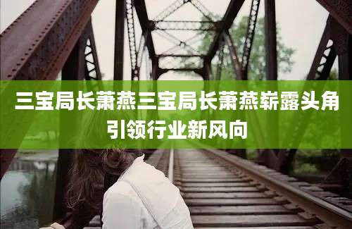 三宝局长萧燕三宝局长萧燕崭露头角引领行业新风向