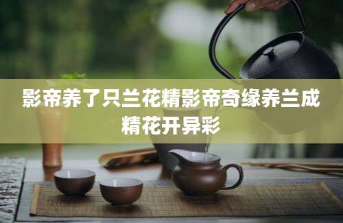 影帝养了只兰花精影帝奇缘养兰成精花开异彩