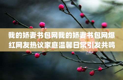 我的娇妻书包网我的娇妻书包网爆红网友热议家庭温馨日常引发共鸣