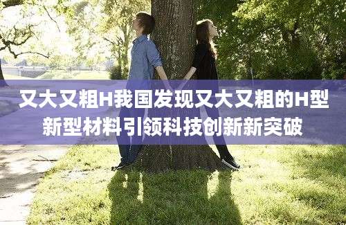 又大又粗H我国发现又大又粗的H型新型材料引领科技创新新突破