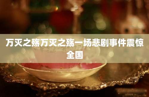 万灭之殇万灭之殇一场悲剧事件震惊全国
