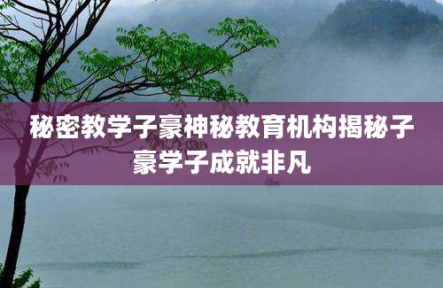秘密教学子豪神秘教育机构揭秘子豪学子成就非凡