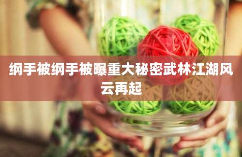 纲手被纲手被曝重大秘密武林江湖风云再起