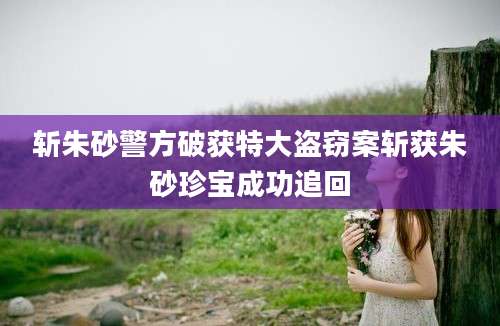 斩朱砂警方破获特大盗窃案斩获朱砂珍宝成功追回
